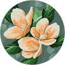 Mari Baldin profile picture